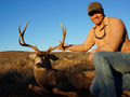 MGT Mule Deer