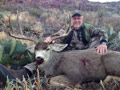 MGT Mule Deer