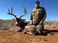 MGT Mule Deer