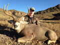 MGT Mule Deer