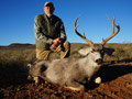 MGT Mule Deer