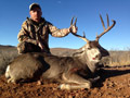 MGT Mule Deer