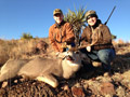 MGT Mule Deer