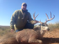 MGT Mule Deer