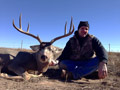 MGT Mule Deer