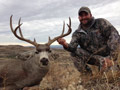 MGT Mule Deer