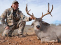 MGT Mule Deer