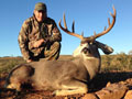 MGT Mule Deer