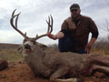 MGT Mule Deer