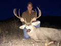 MGT Mule Deer