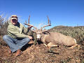 MGT Mule Deer