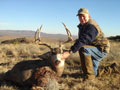 MGT Mule Deer