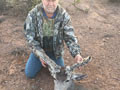 MGT Mule Deer