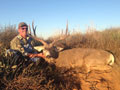 MGT Mule Deer