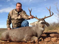 MGT Mule Deer