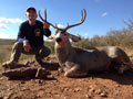 MGT Mule Deer