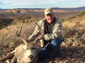 MGT Mule Deer