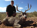 MGT Mule Deer