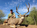 MGT Mule Deer