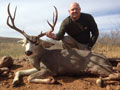 MGT Mule Deer