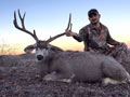 MGT Mule Deer