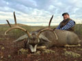 MGT Mule Deer