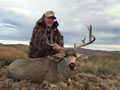 MGT Mule Deer