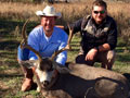 MGT Mule Deer