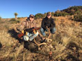 MGT Mule Deer