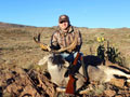 MGT Mule Deer