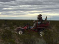 MGT Mule Deer