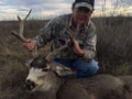 MGT Mule Deer