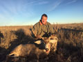 MGT Mule Deer