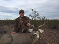 MGT Mule Deer