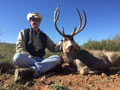 MGT Mule Deer