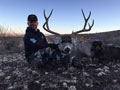 MGT Mule Deer