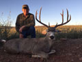 MGT Mule Deer