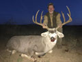 MGT Mule Deer