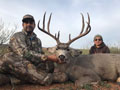 MGT Mule Deer