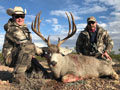 MGT Mule Deer