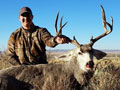 MGT Mule Deer