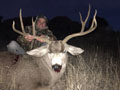 MGT Mule Deer