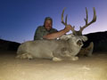 MGT Mule Deer