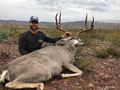 MGT Mule Deer