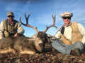 MGT Mule Deer