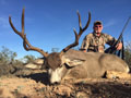 MGT Mule Deer