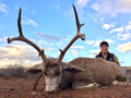 MGT Mule Deer