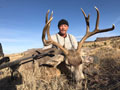 MGT Mule Deer