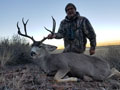 MGT Mule Deer