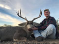 MGT Mule Deer